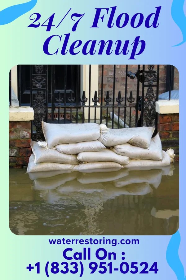 24/7 Flood Cleanup in Taylor Creek, OH