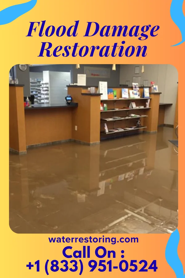 Flood Damage Restoration in Taylor Creek, OH