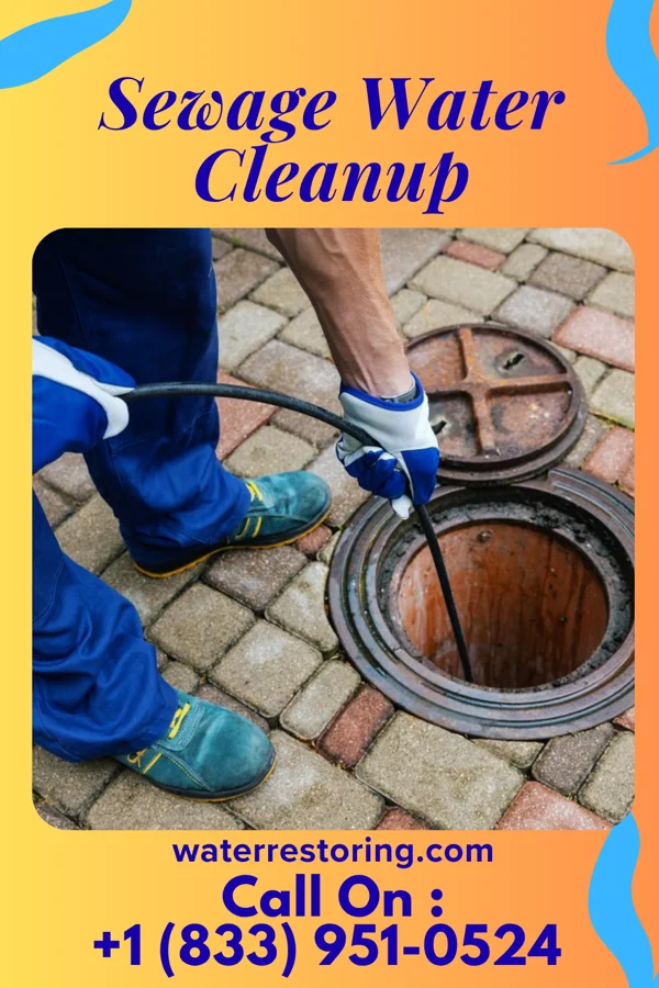 Sewage Water Cleanup in Taylor Creek, OH