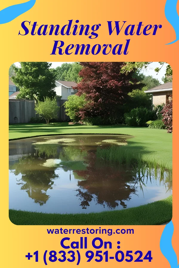Standing Water Removal in Taylor Creek, OH